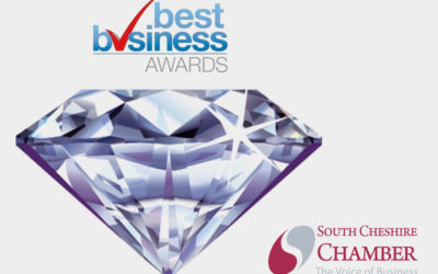 Best Medium Sized Business of the Year