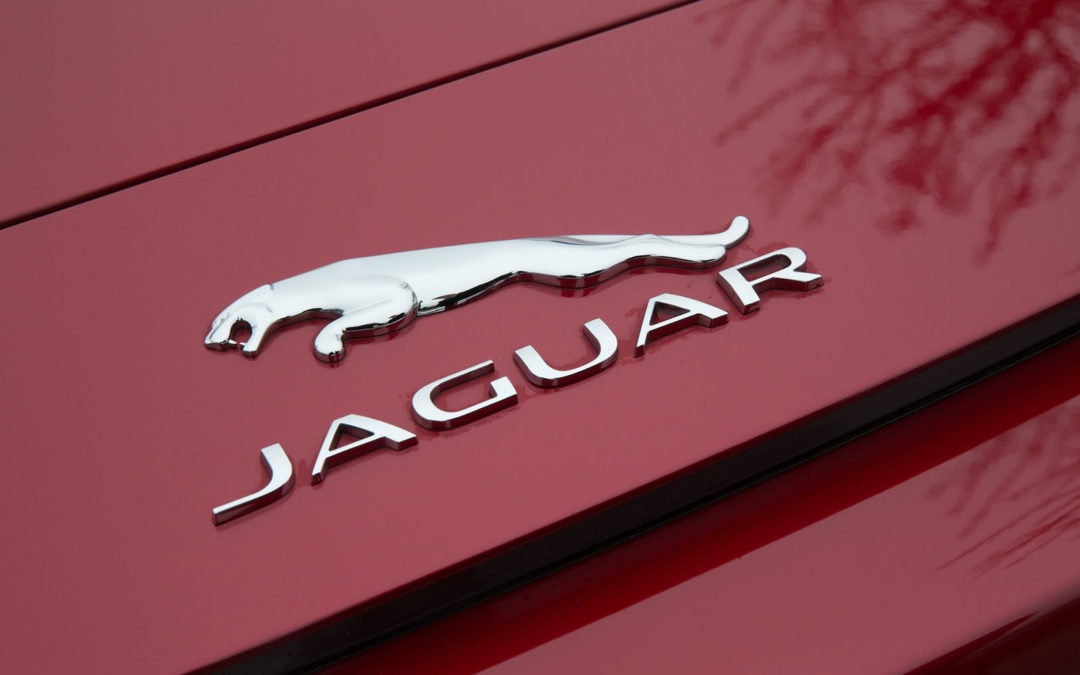 Roller Garage Doors – a Jaguar Owners Story